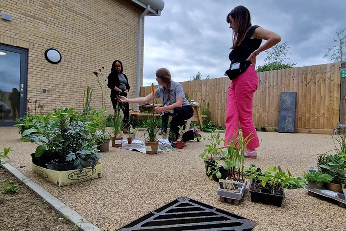 Team members Shannel Paulin, Laura McCarthy and Anna Henry start planting.