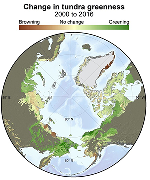 Change in tundra greenness, 2000-2016