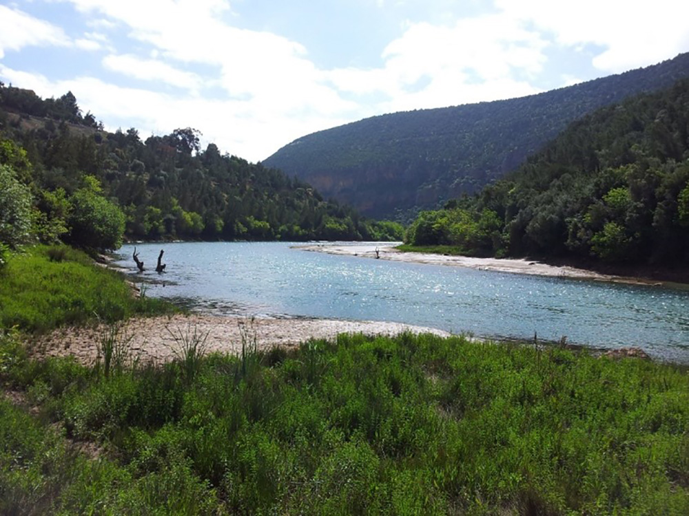 El-Abid River, Atlas mountains, Morocco, April 2012. (Image: L. Slater)