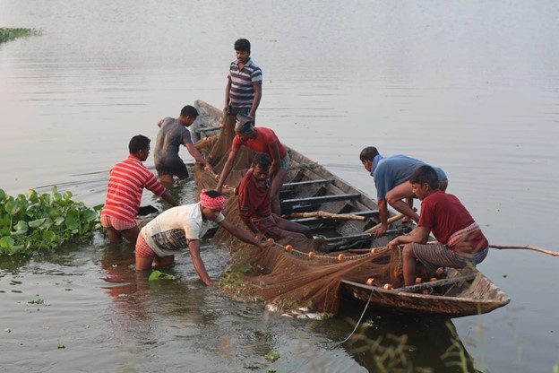 People in and around a boat catching fish in a net