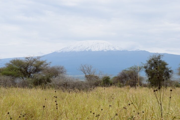 Kilimanjaro on a grey morning from Amboseli National Park (photo: Kitty Attwood).