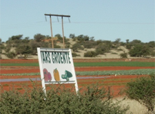 Sampling dunes in the southern Kalahari for dual moisture and OSL analysis, in a region where pumped groundwater is key to agricultural development.