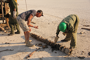 Inspecting sediments from a drill rig core, Ntwetwe pan, 2016.