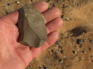 Lithics in the desert: there is substantial evidence of early human presence even in today's hyper-arid regions. This artefact is in the Namib Sand Sea. 2007