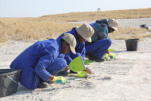 Leverhulme Makgadikgadi project field archaeology team, Ntwetwe Pan, 2016.