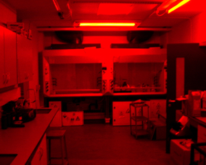 OLD Laboratory facilities