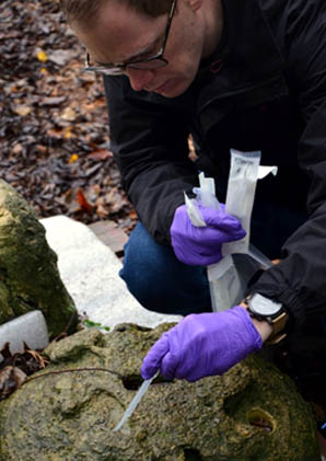 Martin Coombes sampling microbes to understand the biodiversity on a 2nd generation Head. 