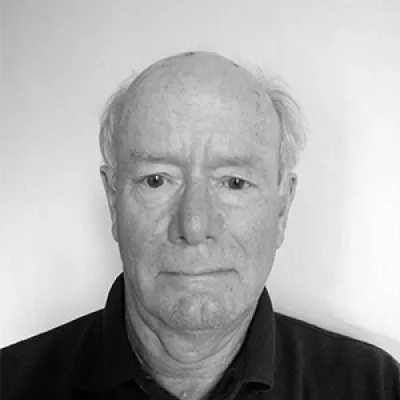 Professor David Banister