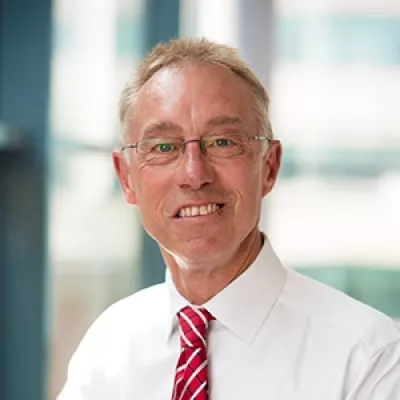 Professor David S.G. Thomas