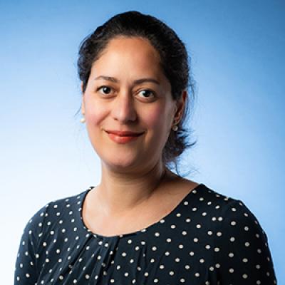 Fereshteh Hojatisaeidi