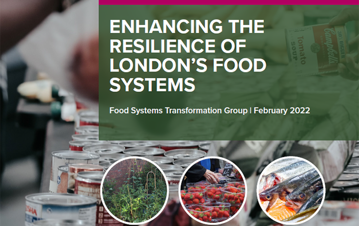 Towards a more resilient London food system