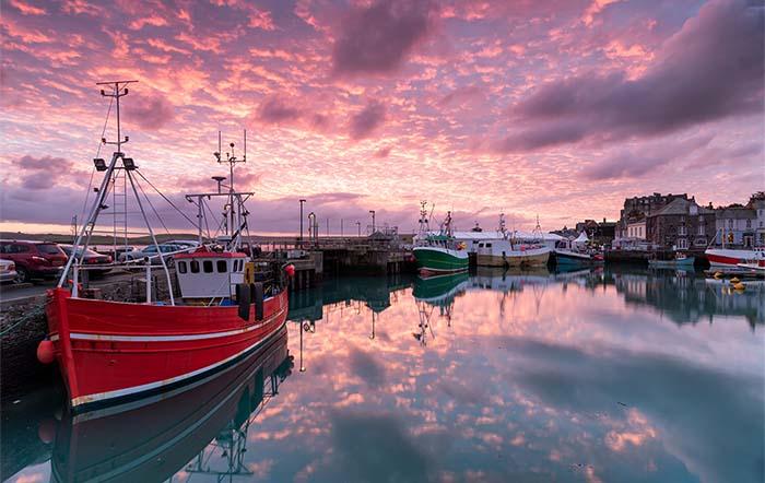 Image: Helen Hotson / Adobe Stock