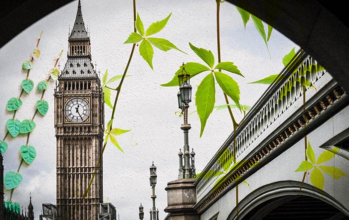 As nature climbs up the political agenda, how can researchers better engage with policy on biodiversity?