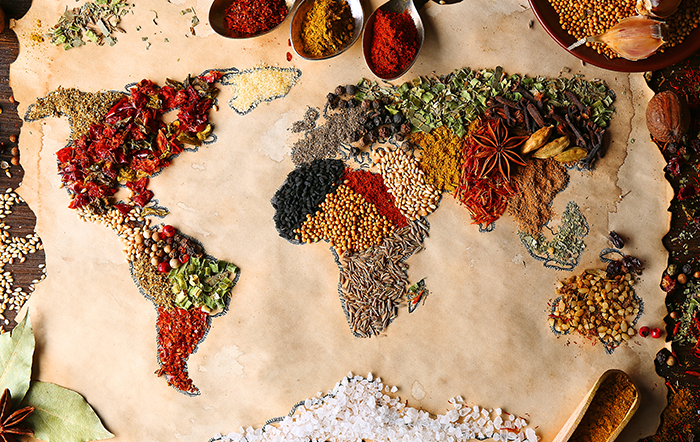 Adobe Stock - map of world with spices - Africa Studio