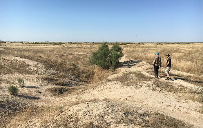 Abandoned medieval canal, Otrar oasis, Kazakhstan