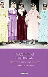 Imagining Kurdistan: Identity, Culture, and Society