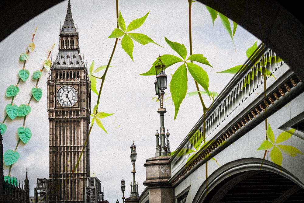 Big ben and leaves