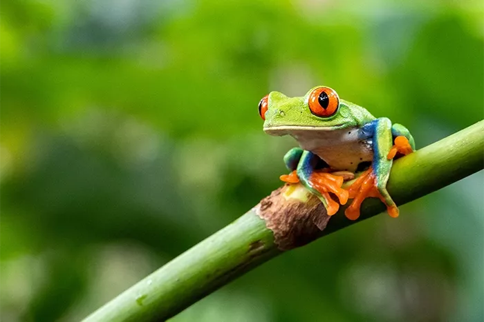 Image: Yuriko David / Adobe Stock