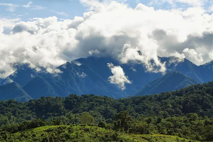 Image: estivillml / Adobe Stock