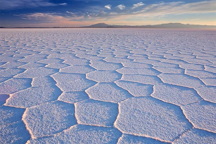 Image: sara_winter / Adobe Stock