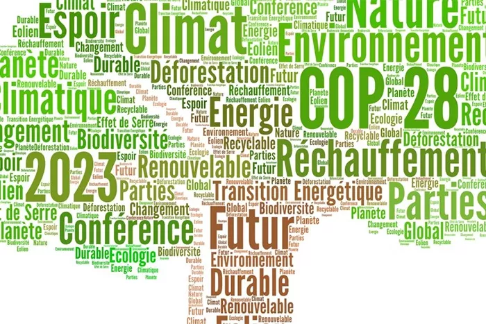 COP28 Screen