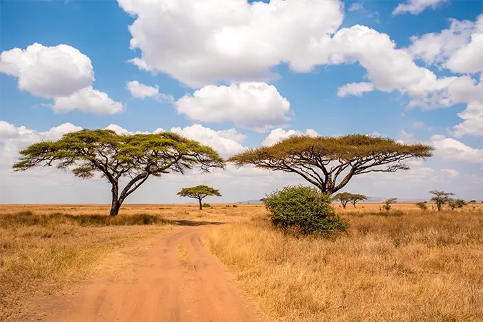 Image: Simon Dannhauer / Adobe Stock