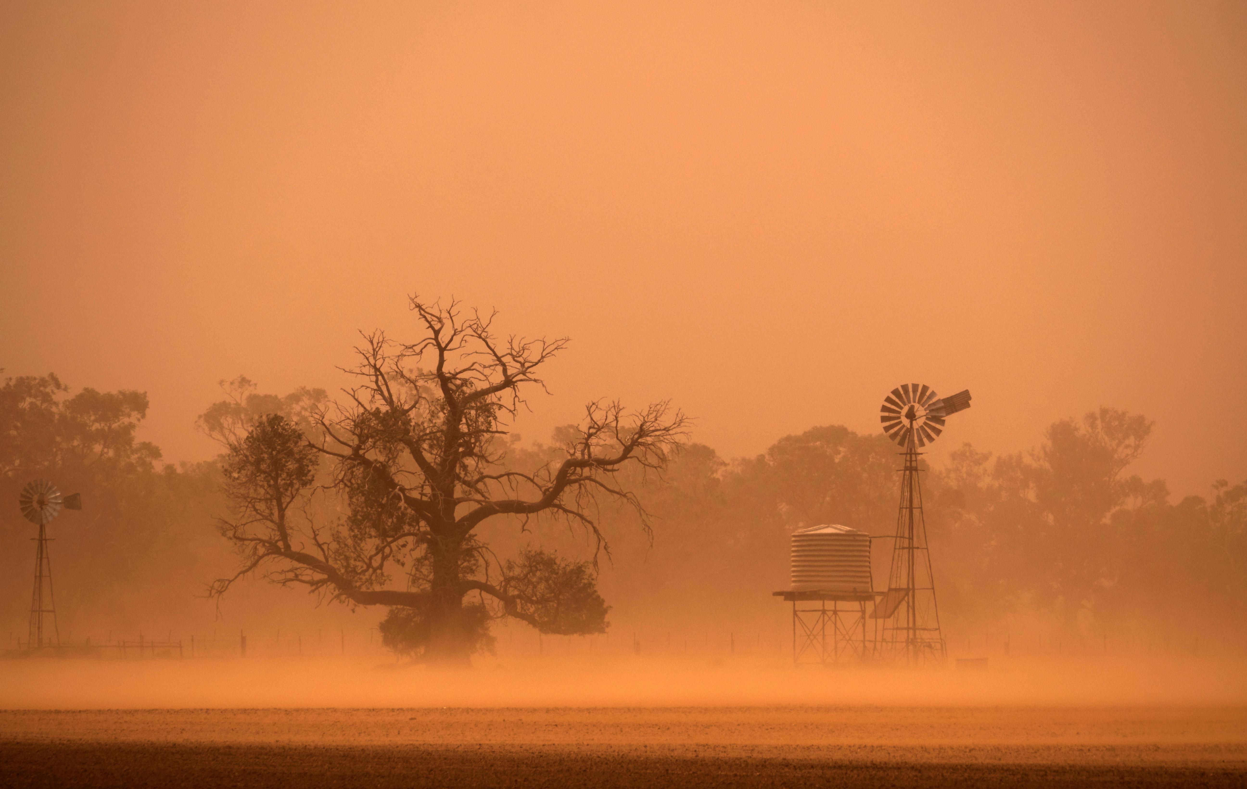 Dust storm AdobeStock_290625684