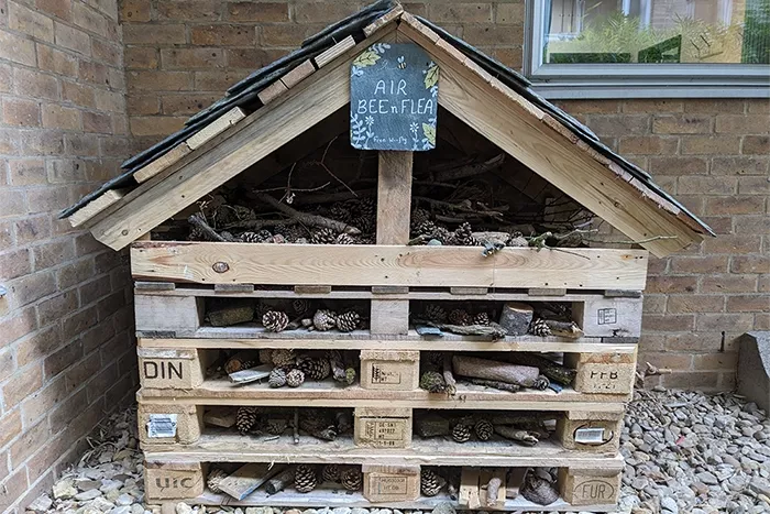 Image: Lorna Softley