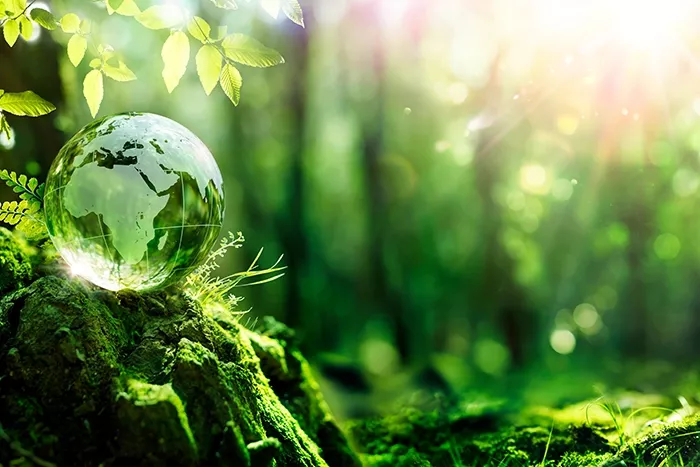 Image:  Romolo Tavani / Adobe Stock