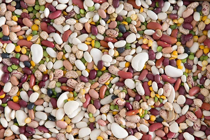 Image: Ozgur Coskun / Adobe Stock
