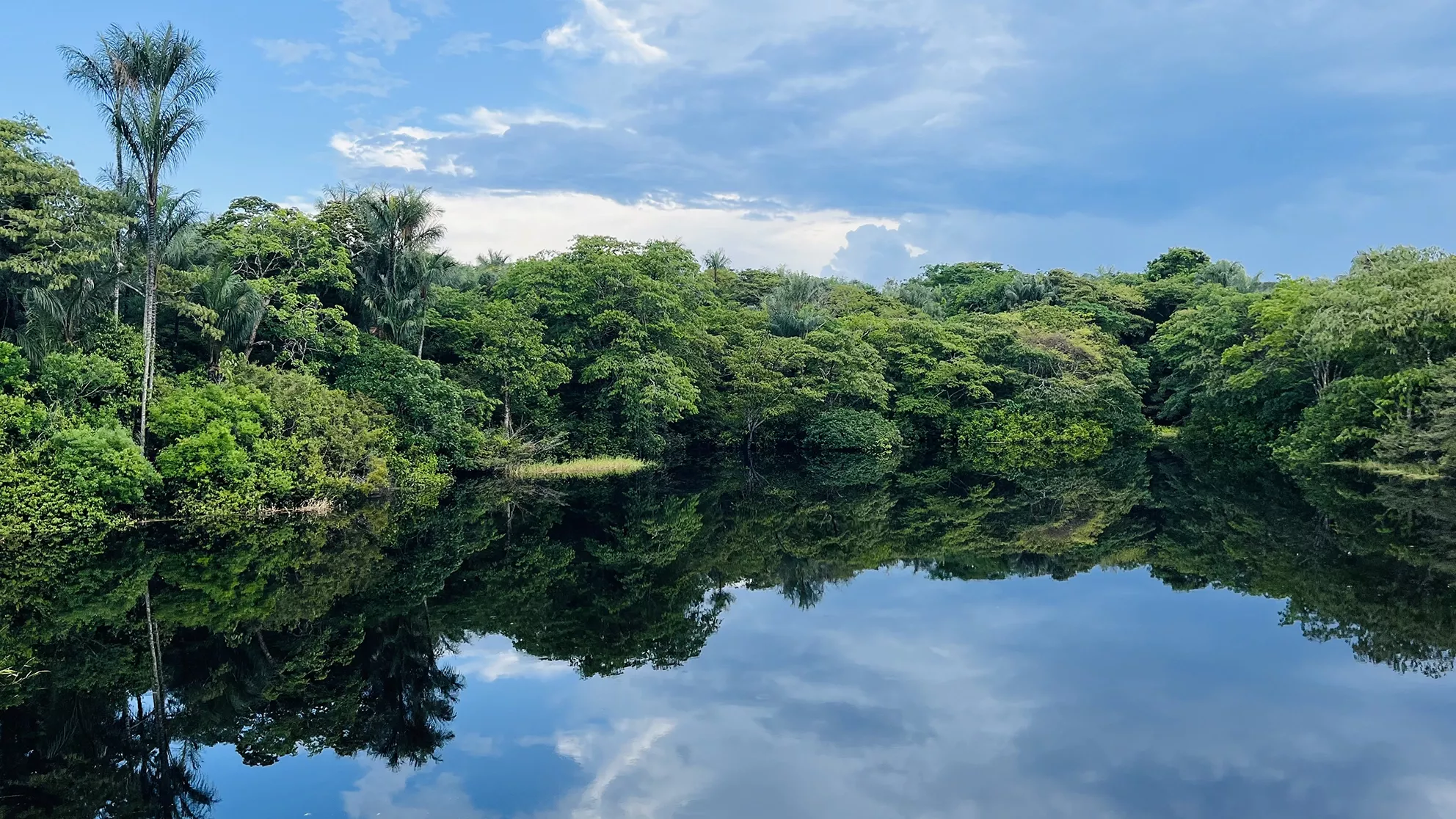 Brazil's Amazon river bank