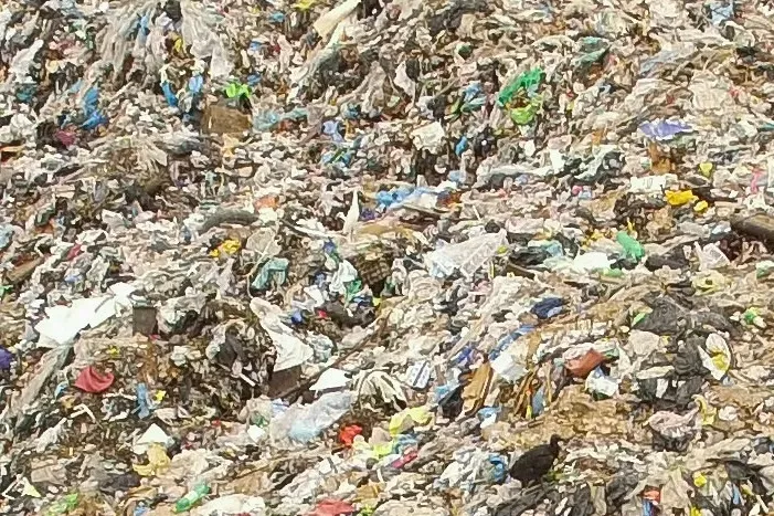 Close-up of dumped waste (illustrative)