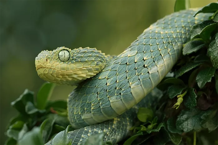 Image: Mark Kostich / Adobe Stock