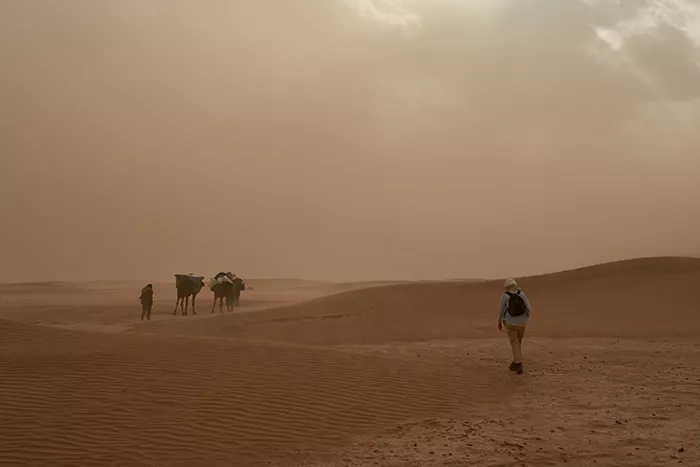 Photo by Wolfgang Hasselmann on Unsplash