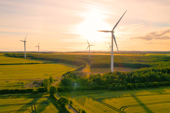 UK wind farm