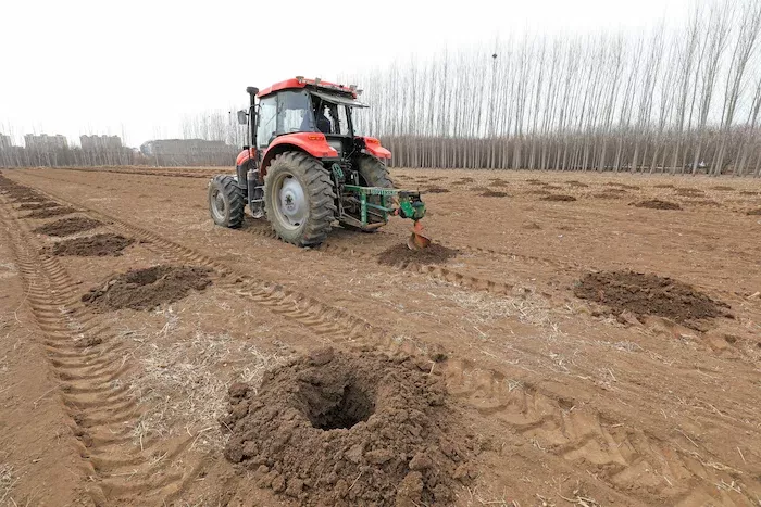 A tractor drills holes for tree planting in north-eastern China