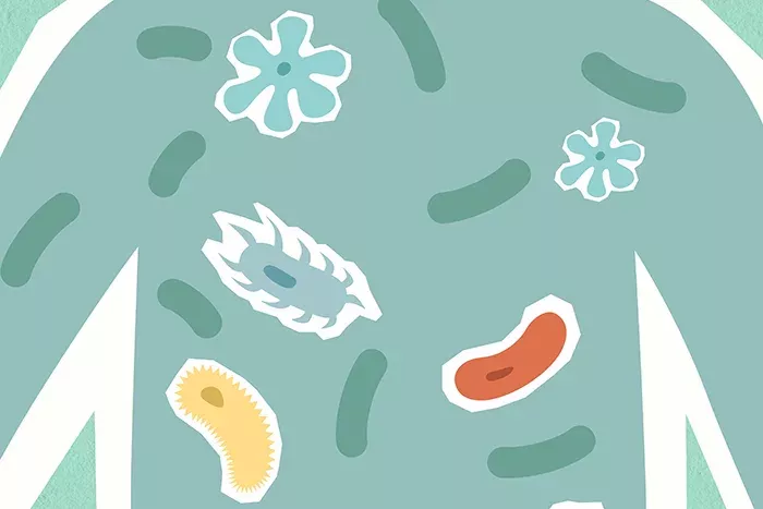 Cartoon graphic of microbes in a body