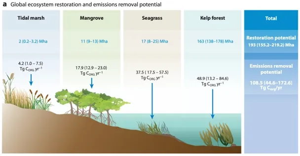 Diagram of global ecosystem restoration and emissions removal potential