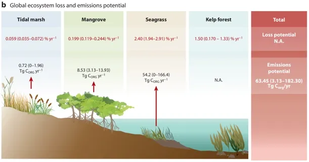 Global ecosystem loss and emissions potential
