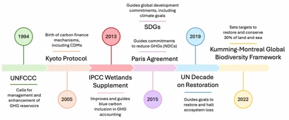 A timeline of key global initiatives that have advanced the conservation and management of blue carbon ecosystems and their inclusion into GHG goals and carbon accounting. 