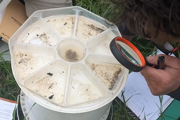 A citizen scientist observes a water sample using a magnifying glass. (c) Hope Steadman