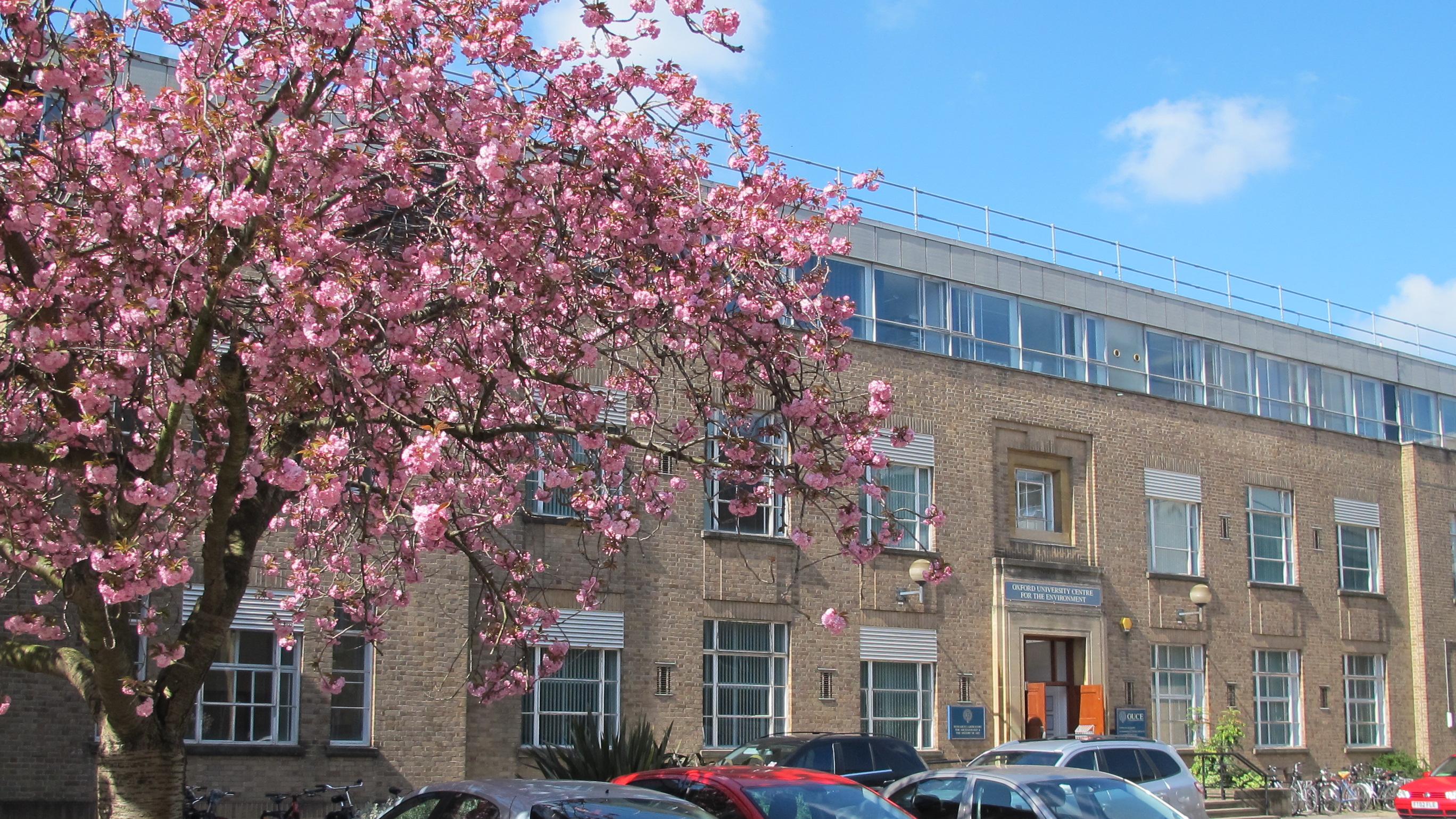 Front of SoGE building